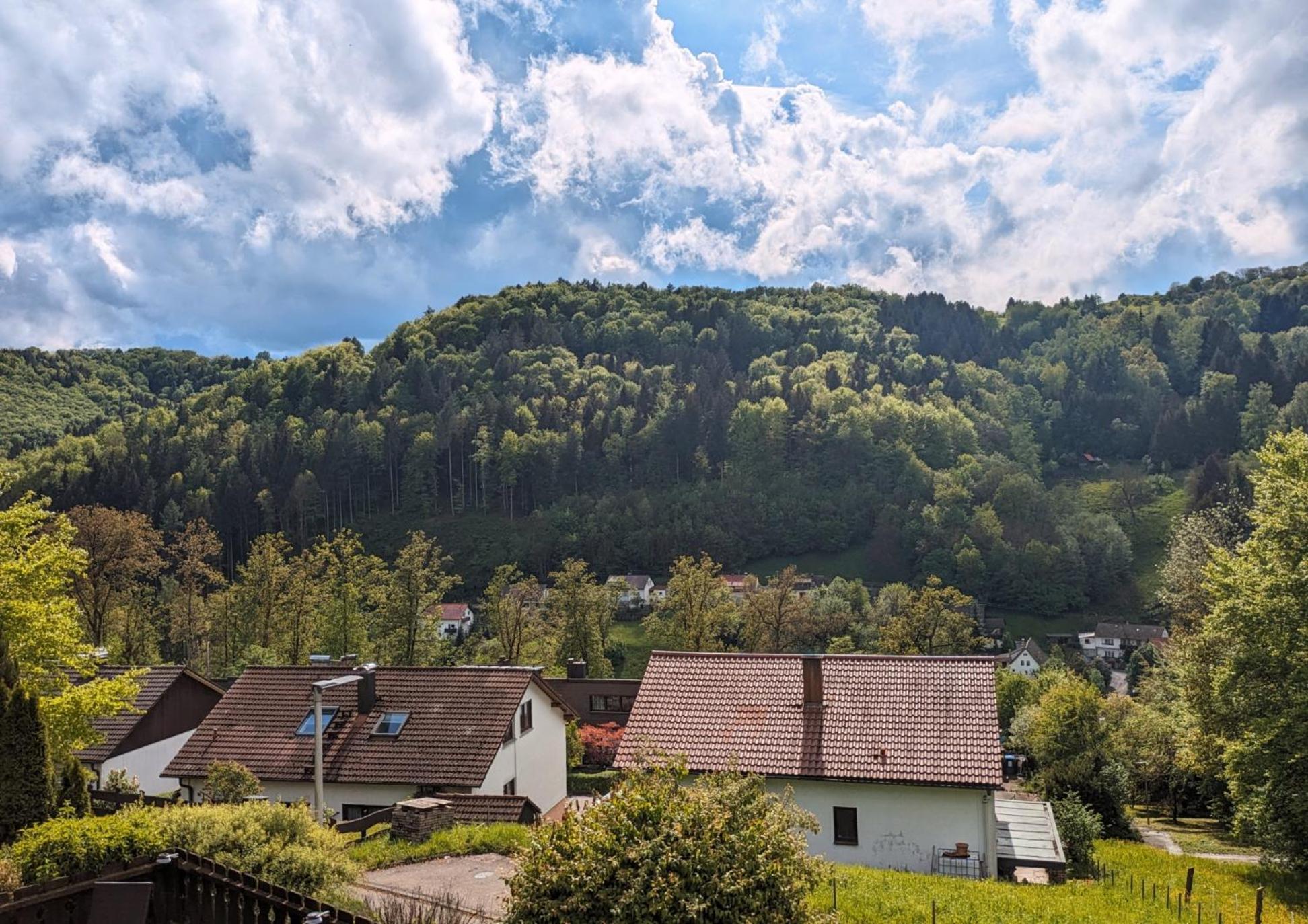 Spiegelberg 4 Zimmer Geraeumige Und Ruhig Gelegene Ferien- Und Monteurwohnung Nur Fuer Sie Allein Aujvari Vermietungen מראה חיצוני תמונה